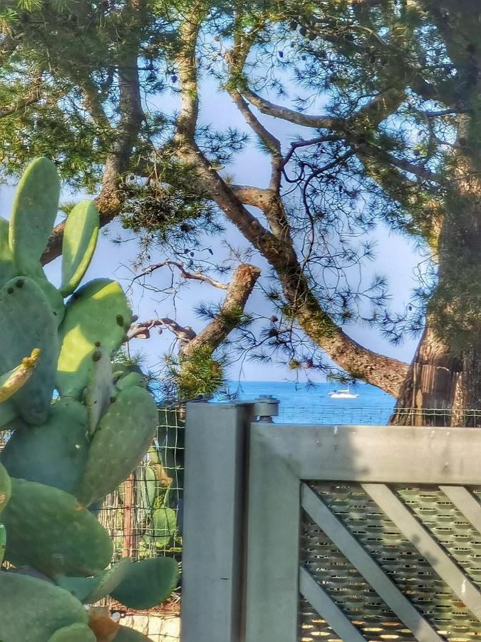 Trullo Seaside Polignano Villa Polignano a Mare Eksteriør billede